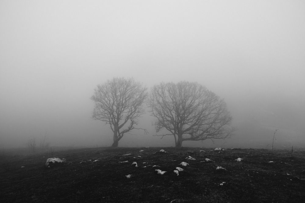 Туманные отношения