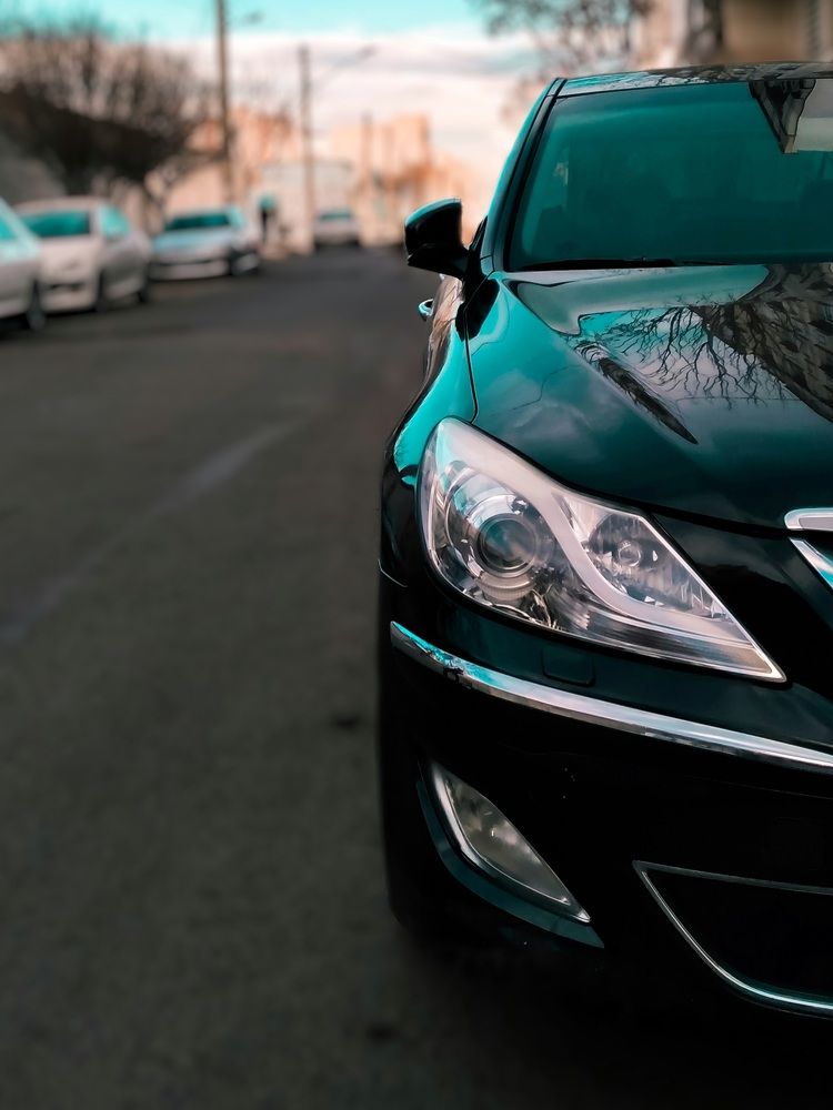 Photograph by Mohammad Amin Karimi