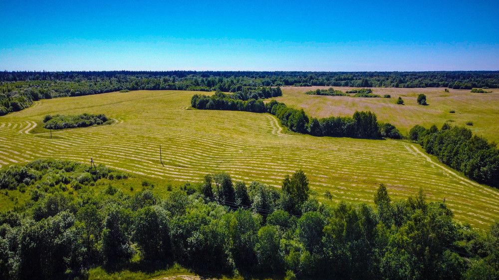 Photograph by Ольга Сафронова