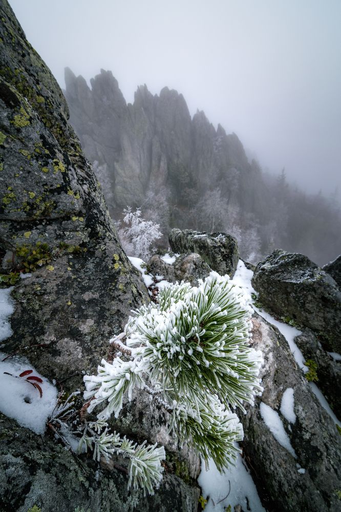 Photograph by Сергей Егоров