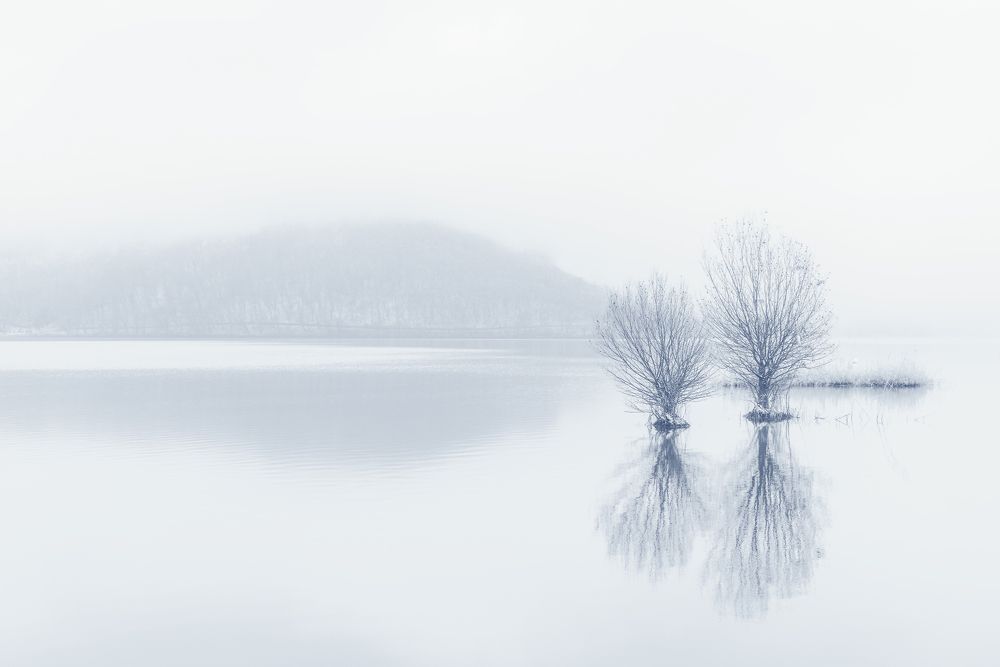 Фотография автора Valery