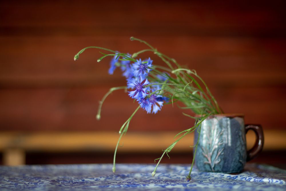 Photograph by Наталья Федорова