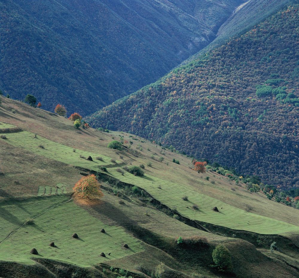 Фотография автора Валерий Егоров