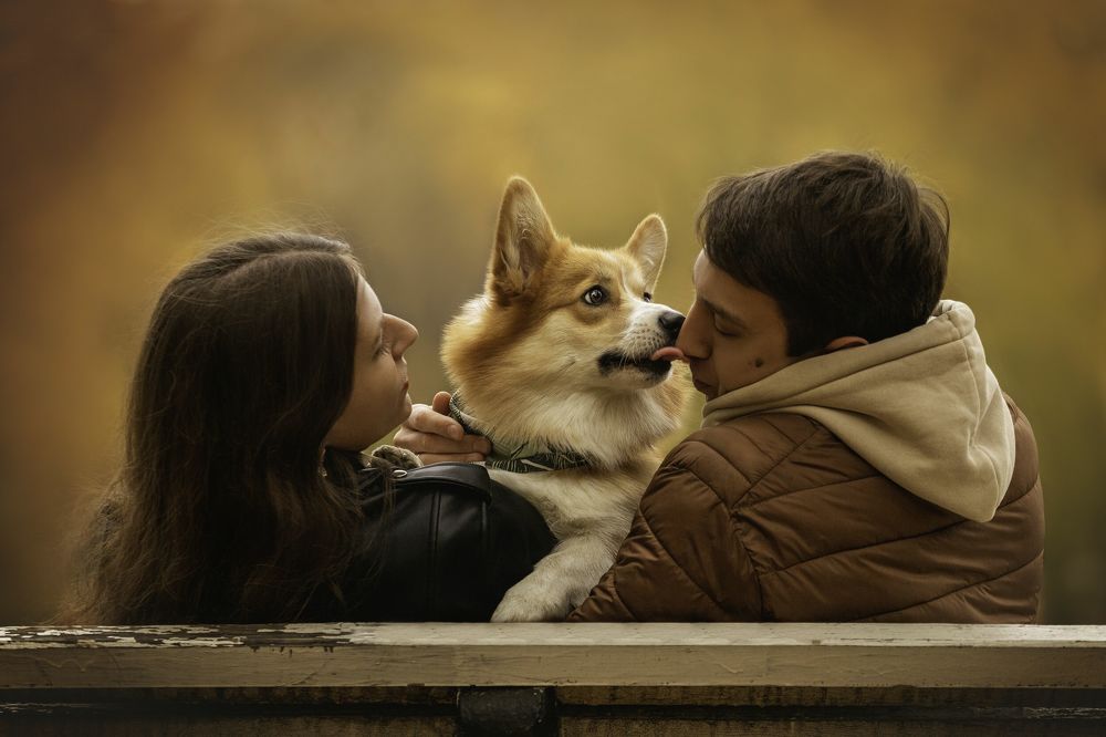 Photograph by Анастасия Осипова