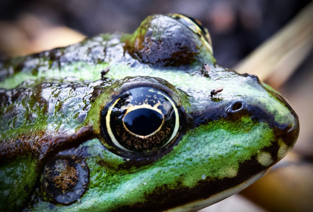 Photograph by Igor Ryzhov