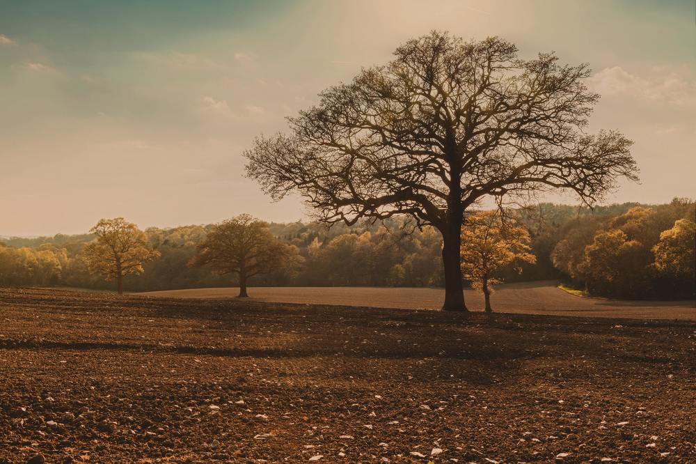 Photograph by sachidu sankalpa