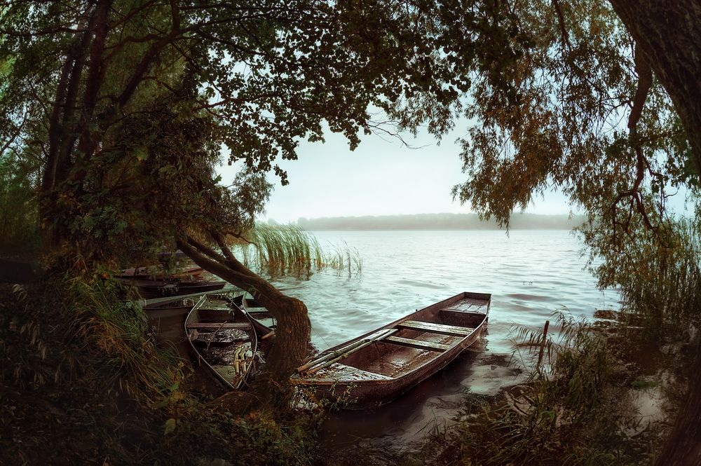 Тихая пристань..