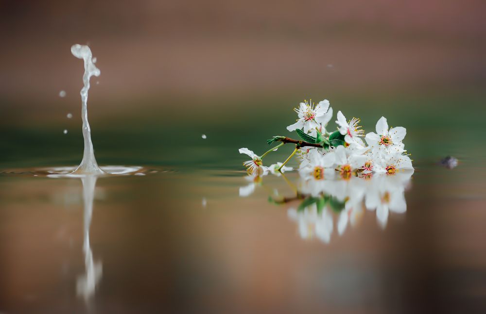 Photograph by Narek Petrosyan