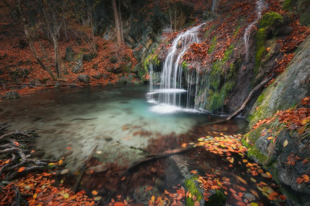 Photograph by Алексей Агеев