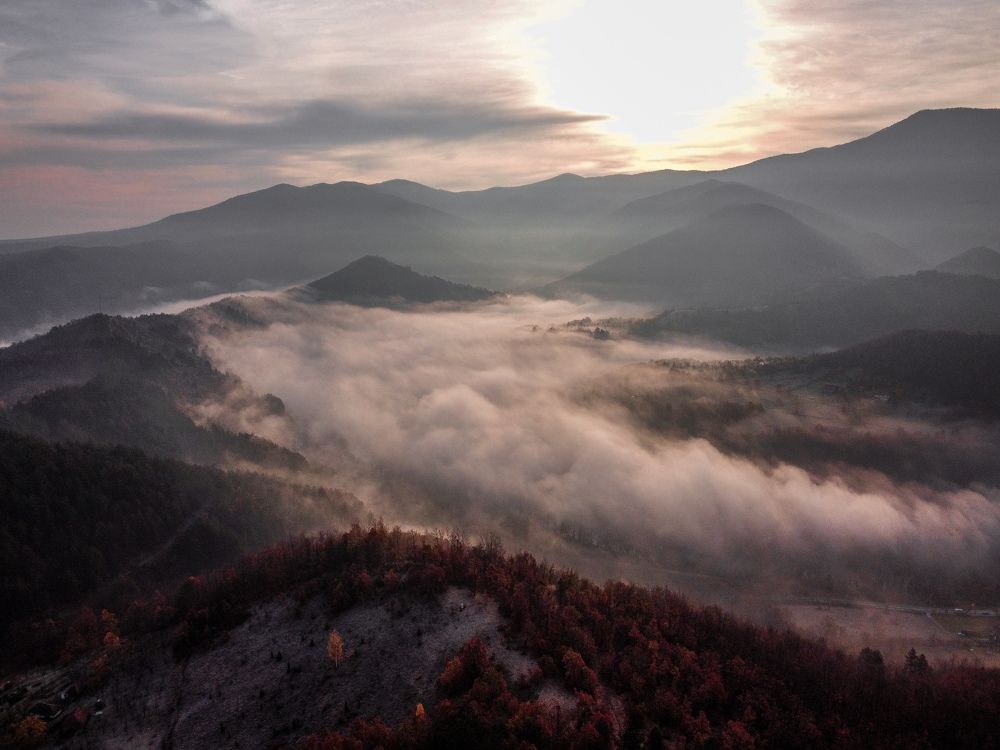 Photograph by Dimitrije Todorovic