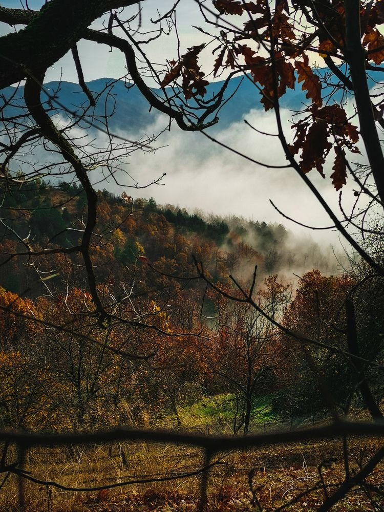 Photograph by Dimitrije Todorovic