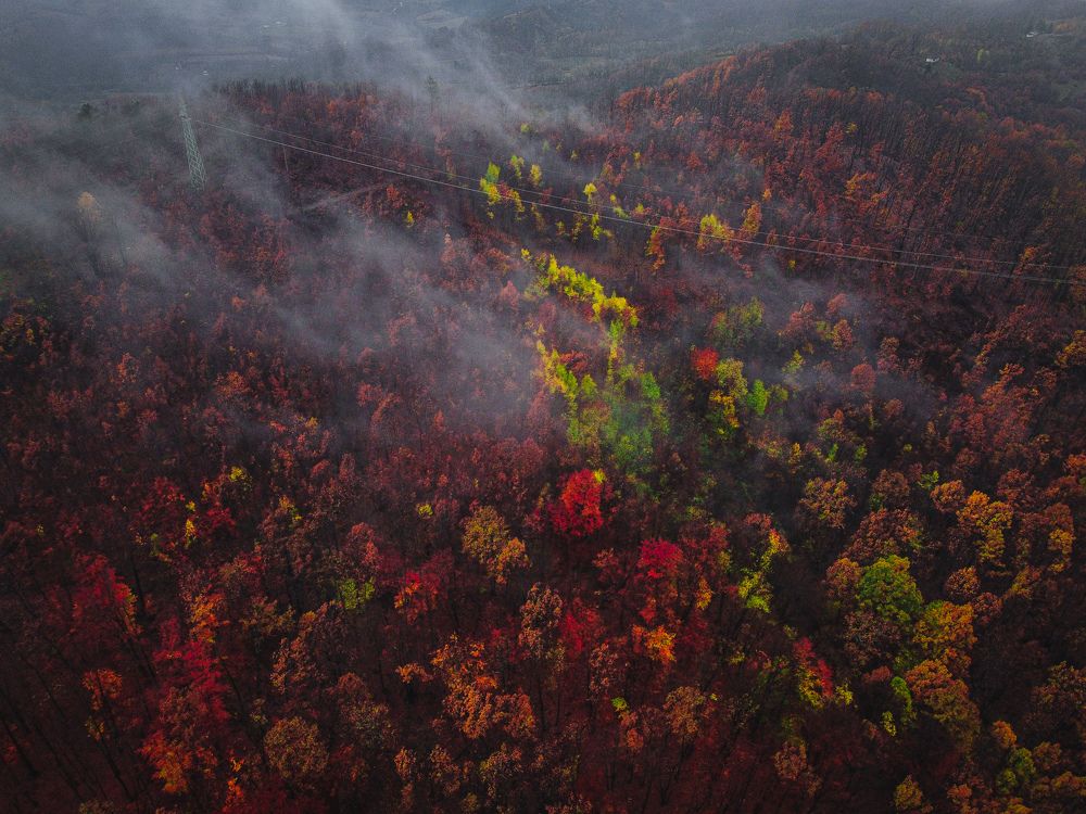 Photograph by Dimitrije Todorovic