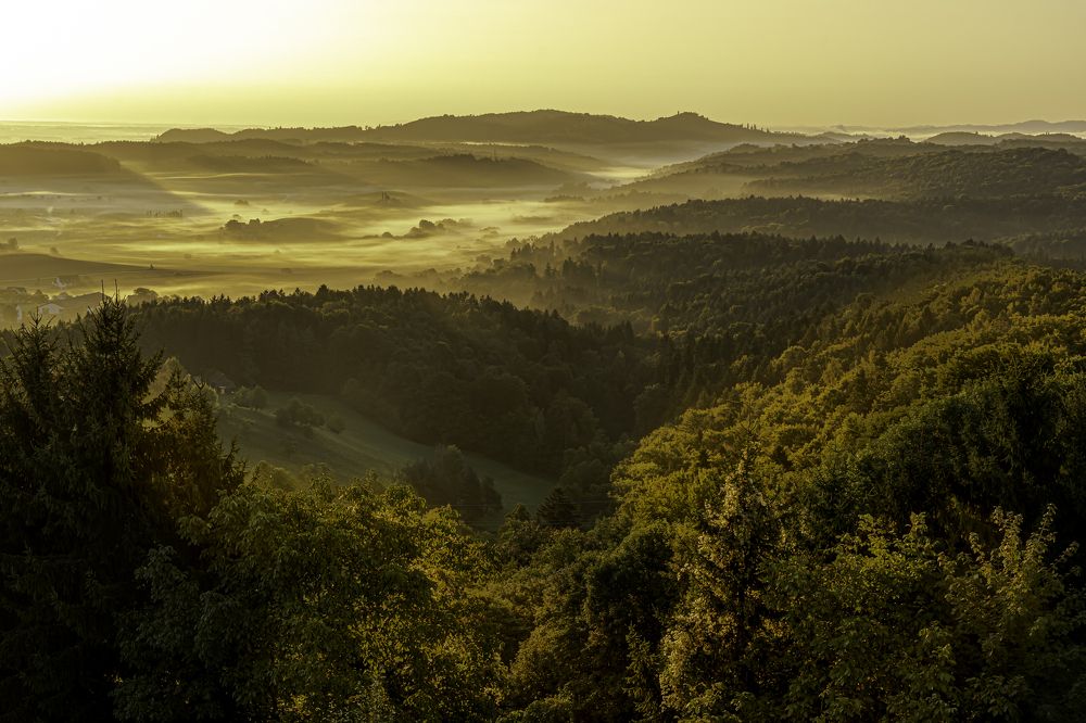 Photograph by Romualdas Vaitkevicius