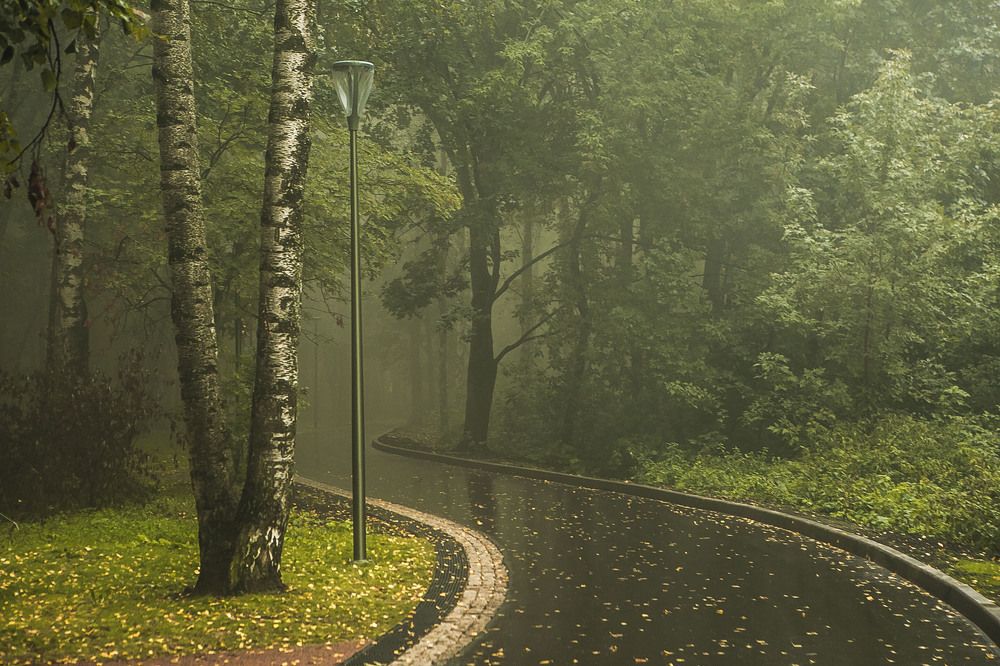 Photograph by Скрипкина Марина