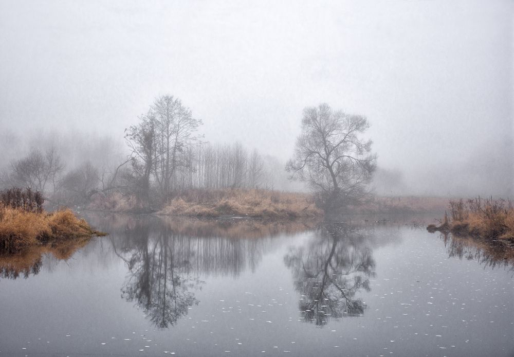 Photograph by Елена Стещенко