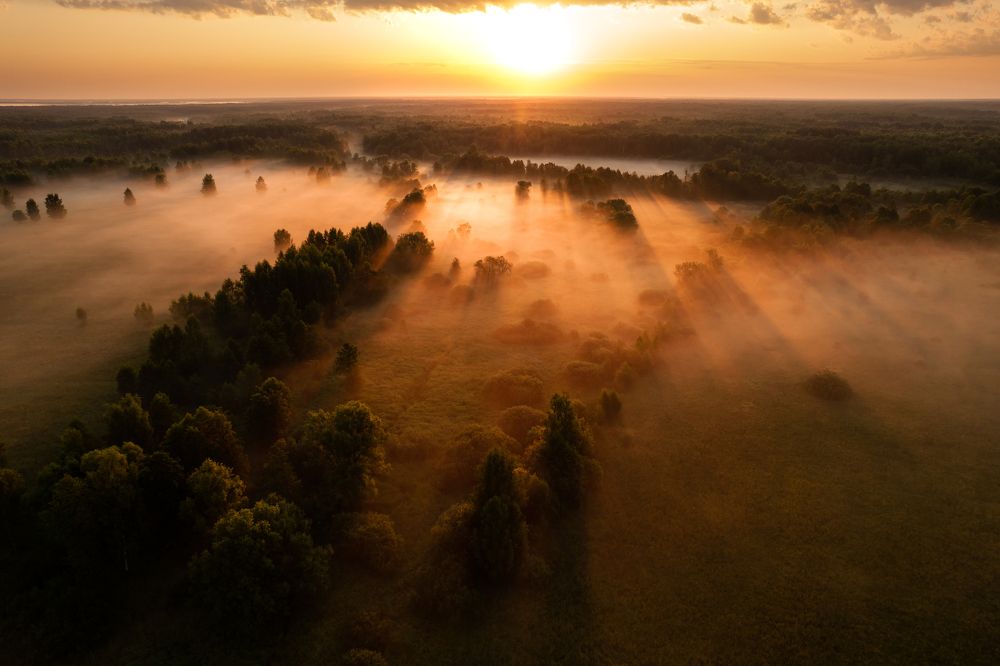 Photograph by Евгений Озеров