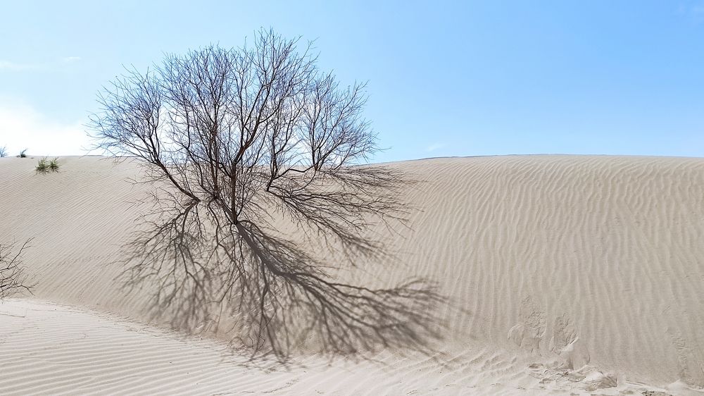 Узоры на песке