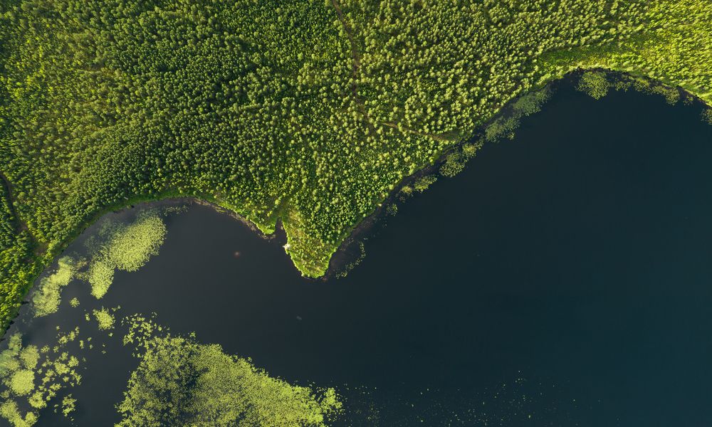 Photograph by Евгений Озеров