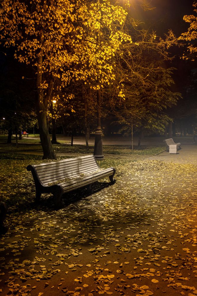 Photograph by Игорь Парсаданов