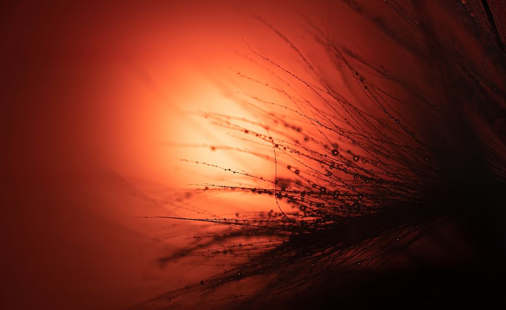 Photograph by Олег Зальвовский