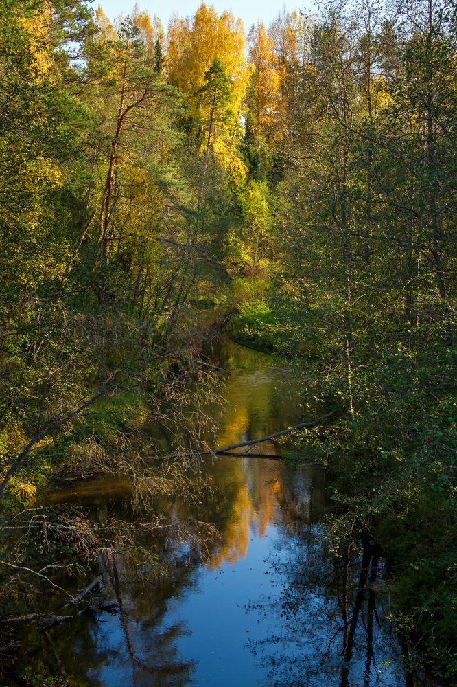 Photograph by Игорь Парсаданов