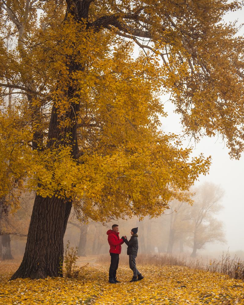 Такая осень