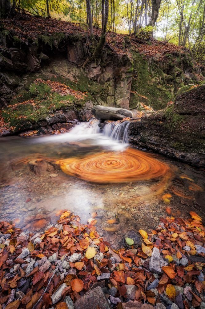 Photograph by Rositsa Dimitrova