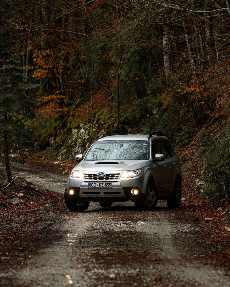 Photograph by Bine Mekina