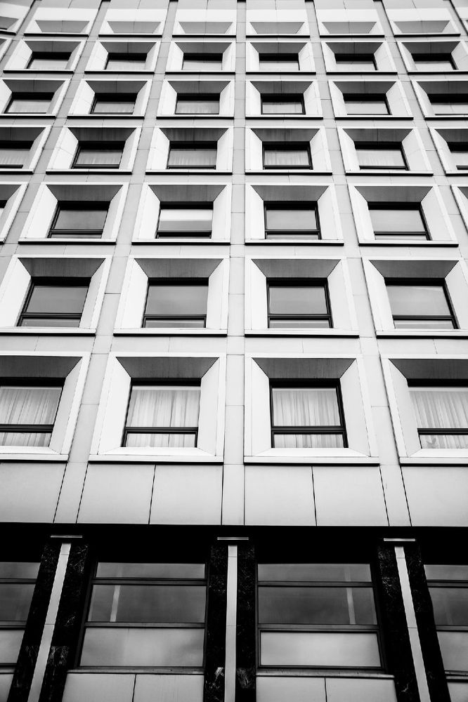 Фотография автора Василиса Новикова