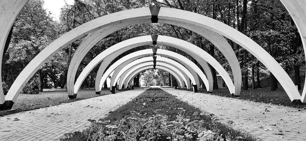 Фотография автора Василиса Новикова