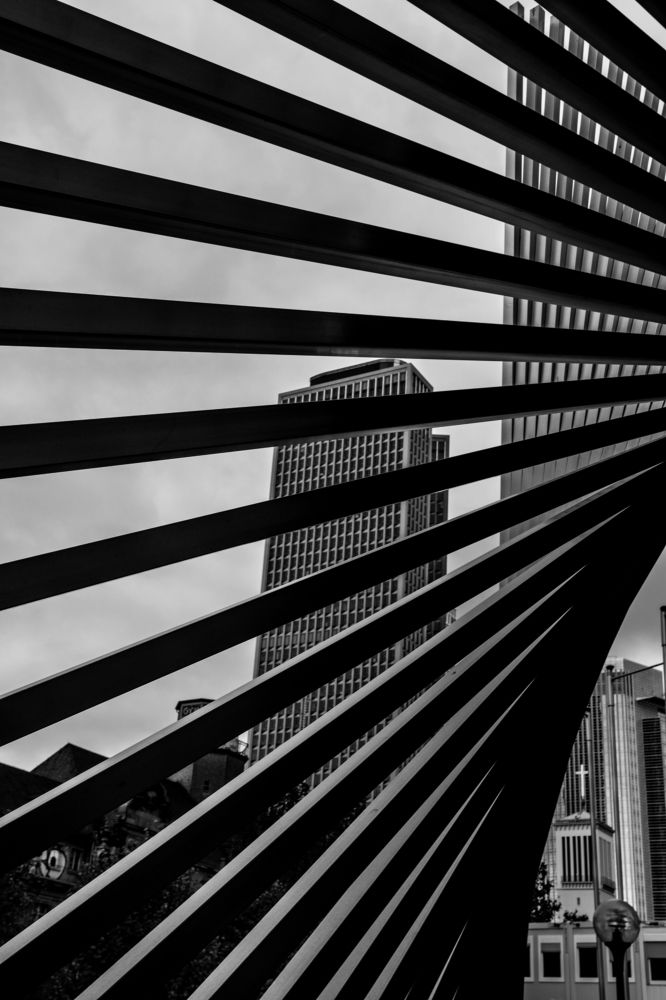 Photograph by Jan Nemec