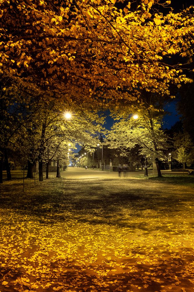 Photograph by Игорь Парсаданов