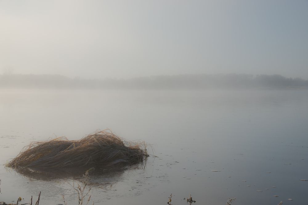 Фотография автора NIKOLAY KALININ