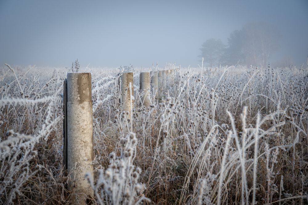 Фотография автора NIKOLAY KALININ
