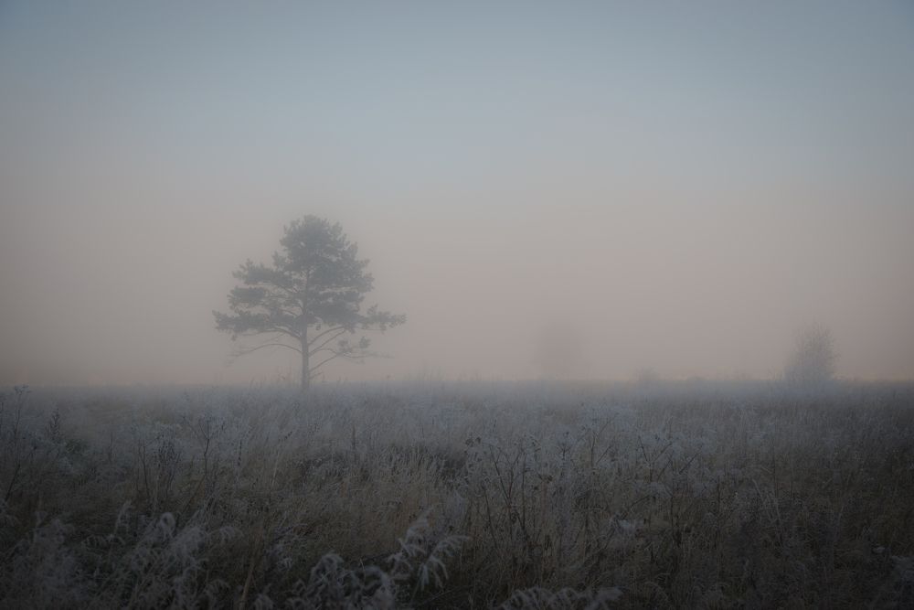 Фотография автора NIKOLAY KALININ
