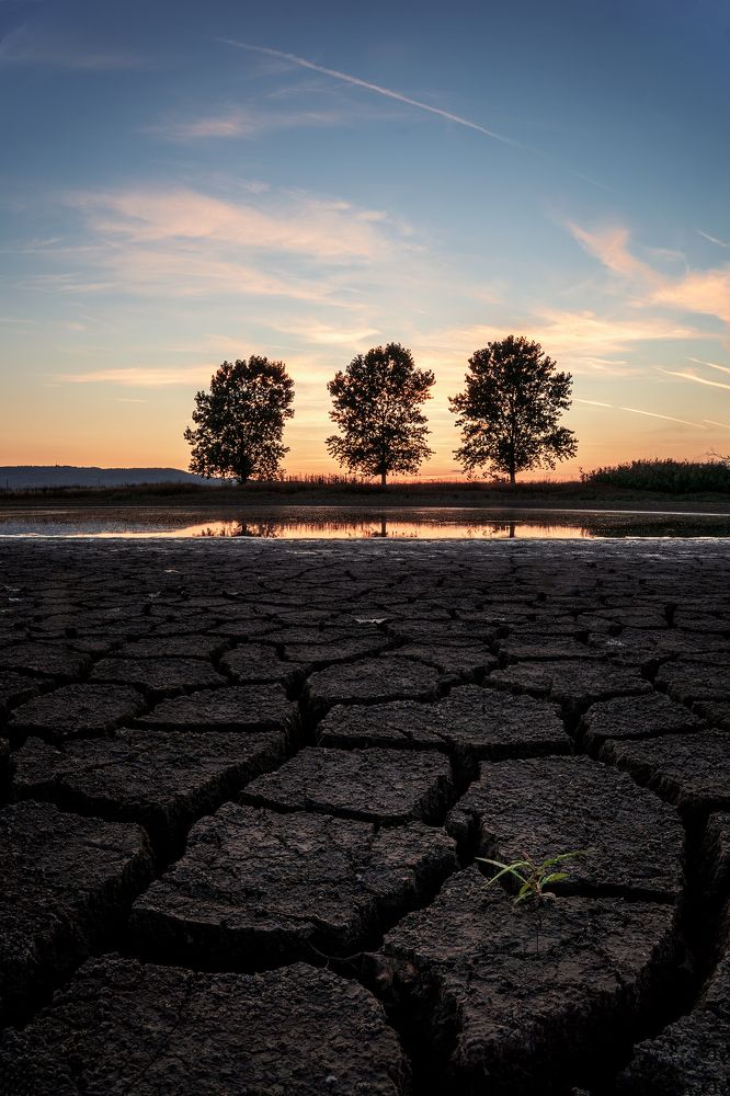 Photograph by Rositsa Dimitrova