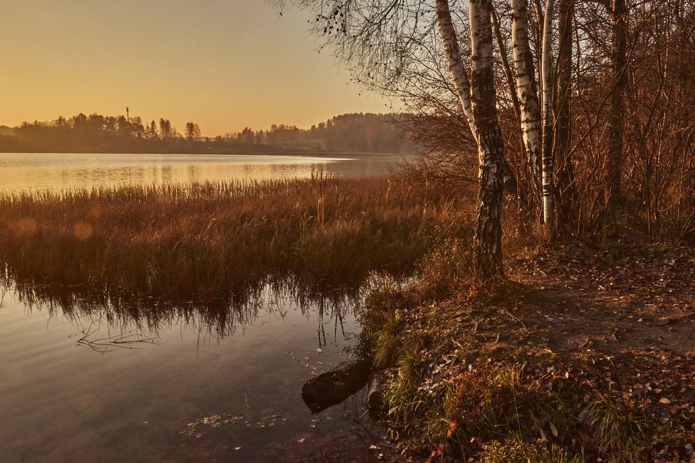 Photograph by Татьяна Полянская