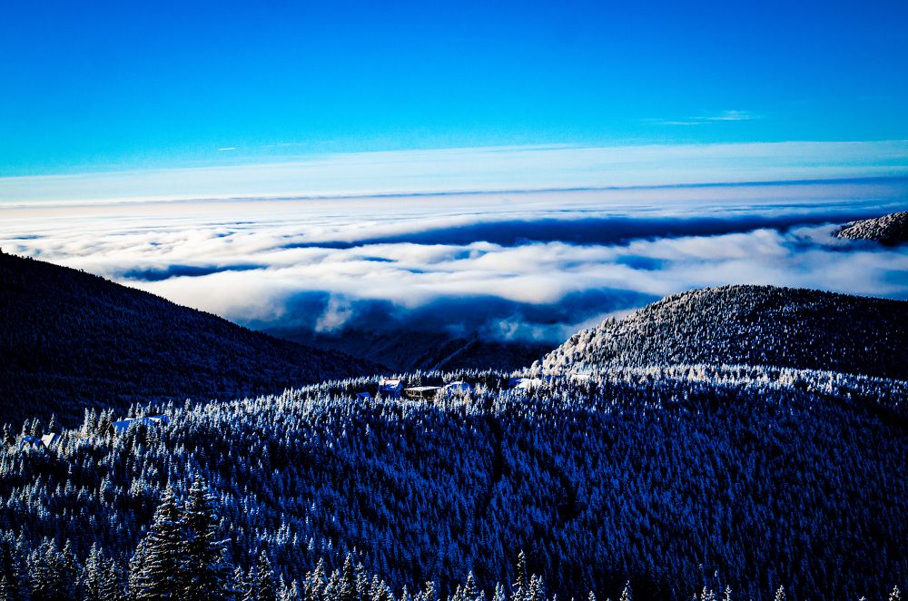 Photograph by Radu Constantinescu