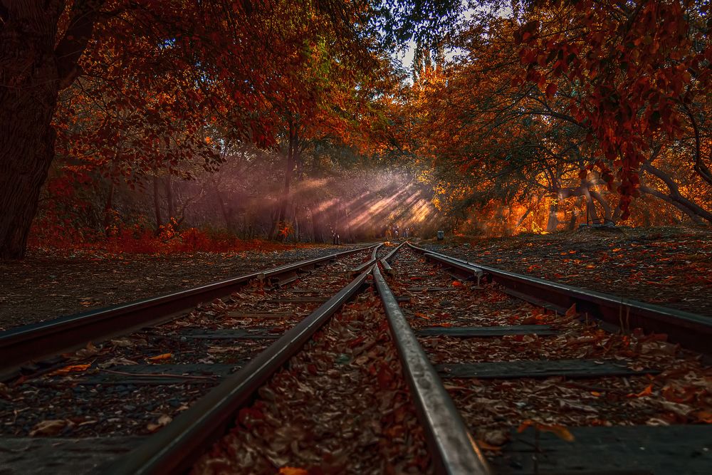 Photograph by Edgar Martirosyan