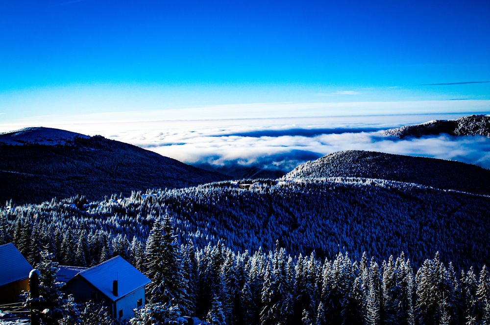 Photograph by Radu Constantinescu