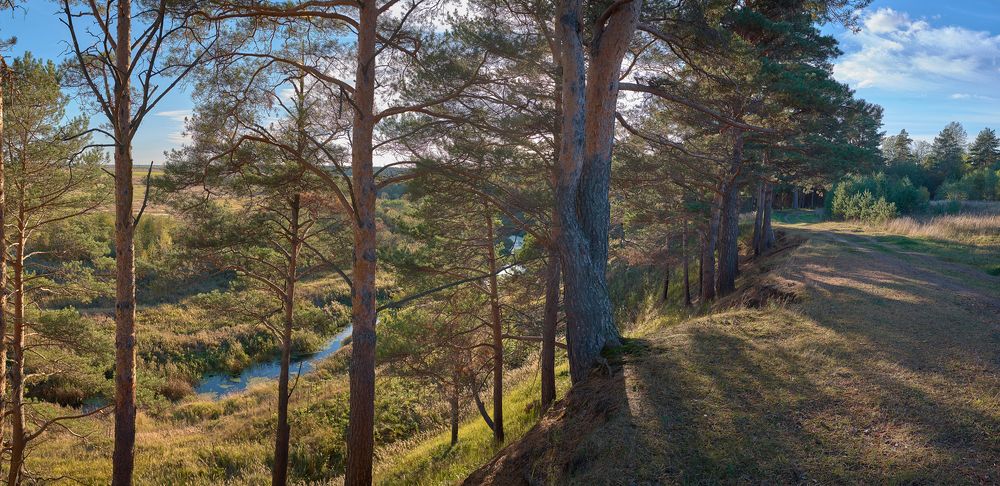 Фотография автора Александр