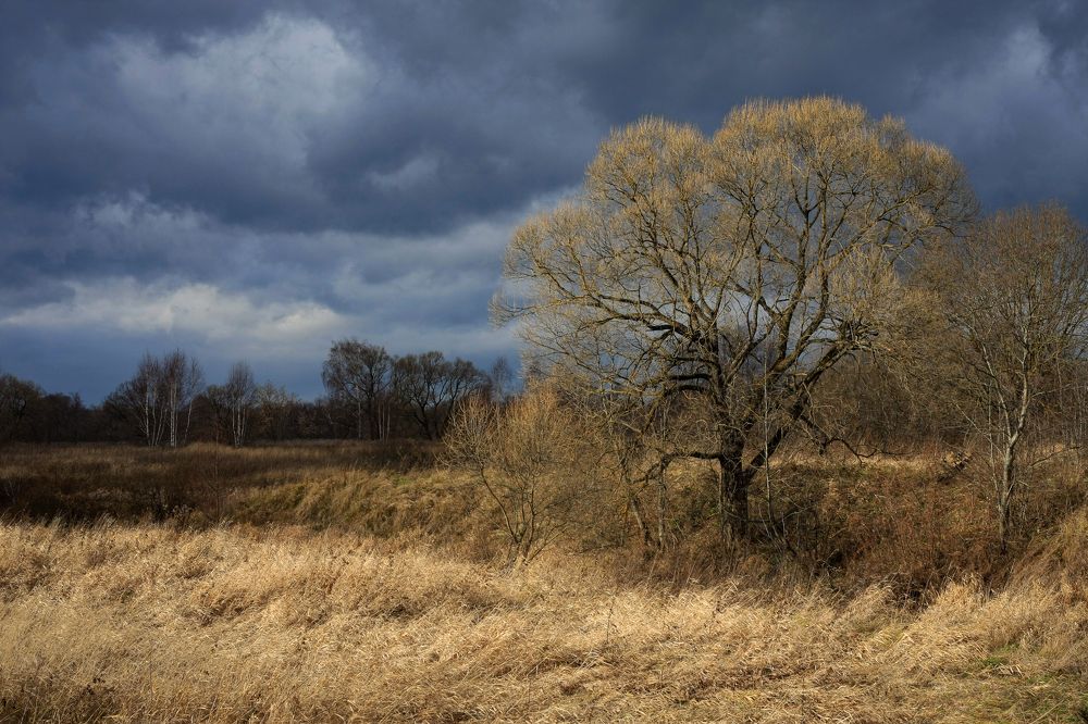 Photograph by Сергей