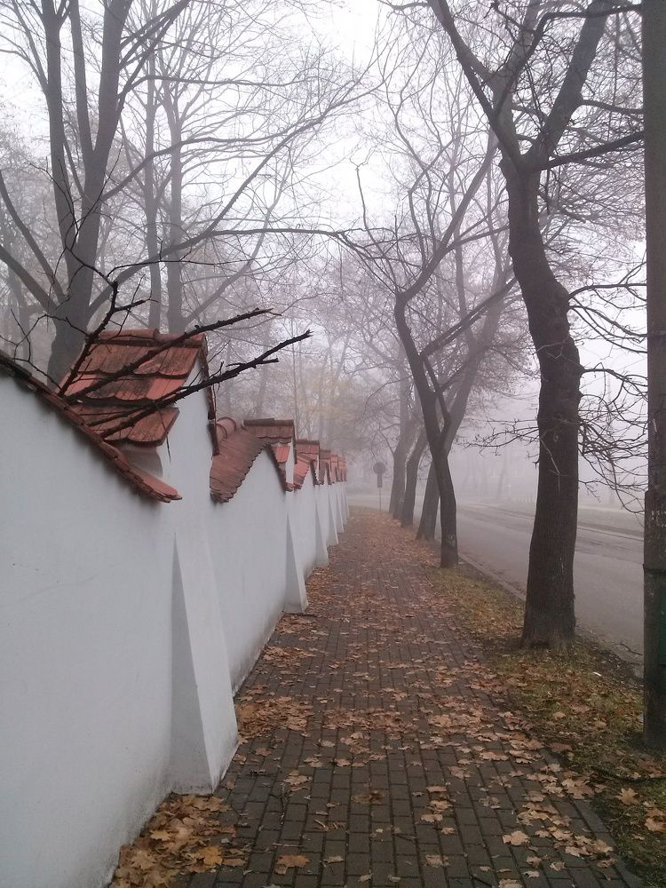 Photograph by Dariusz Gruszka