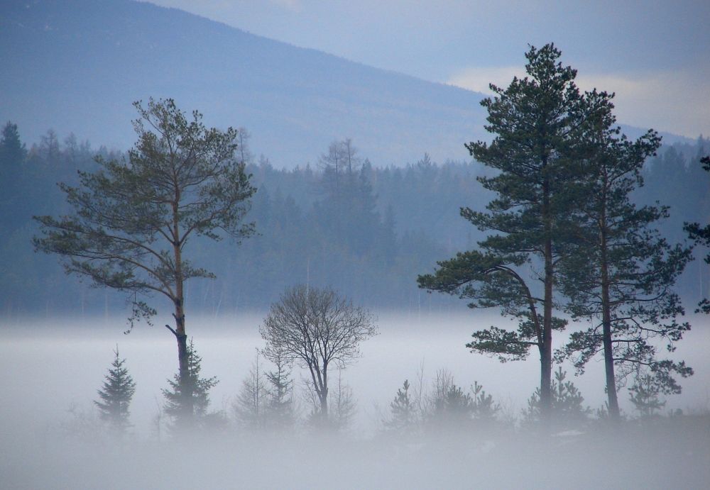 Photograph by Воинков Виктор