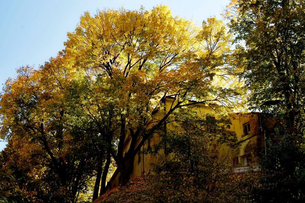 Photograph by Alexey Smal