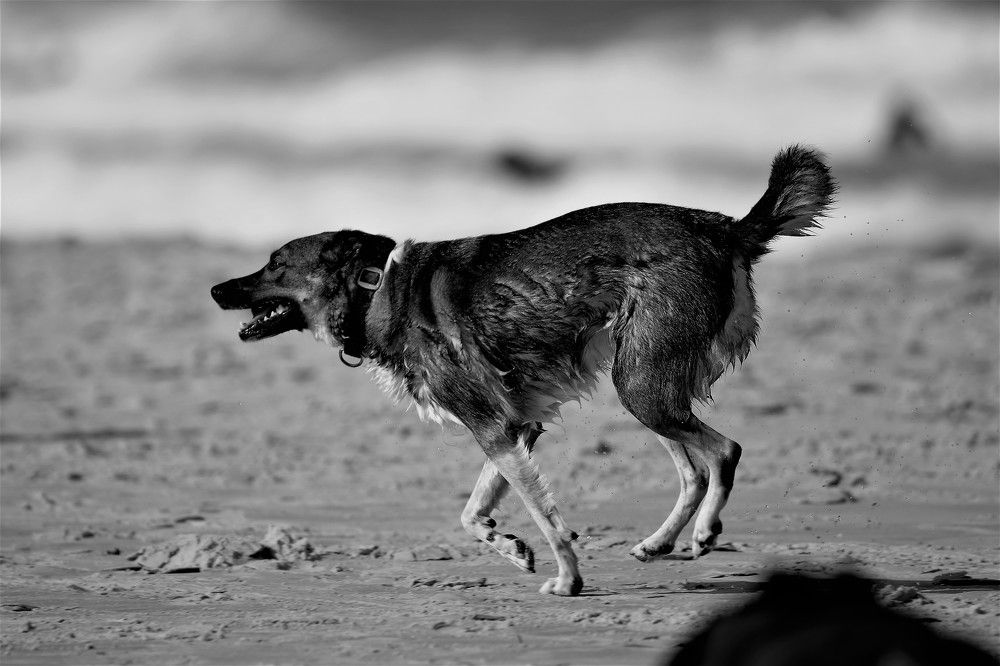 Photograph by Кирилл Соколов