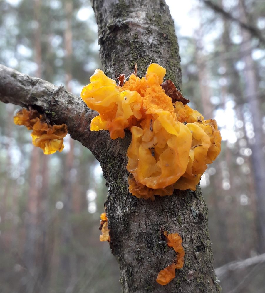 Photograph by Elena Morozova