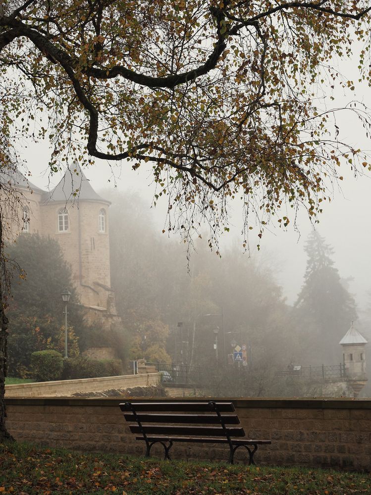 Photograph by Юлия Борт