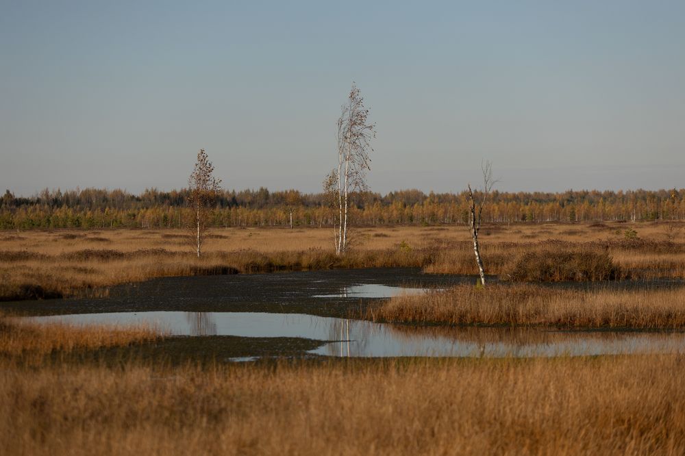 Photograph by Karina