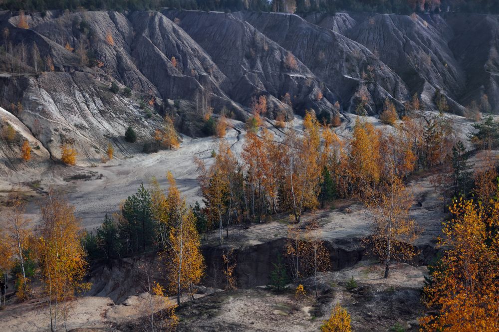 Фотография автора Dmitry Finkel